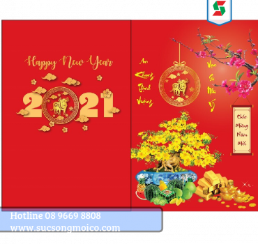 THIỆP 005